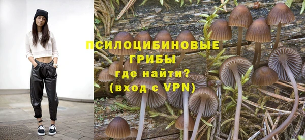 тгк Баксан