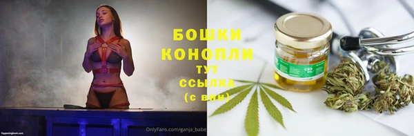 ПСИЛОЦИБИНОВЫЕ ГРИБЫ Михайлов