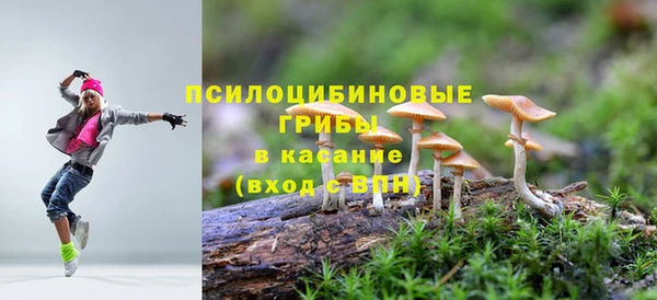ПСИЛОЦИБИНОВЫЕ ГРИБЫ Михайлов