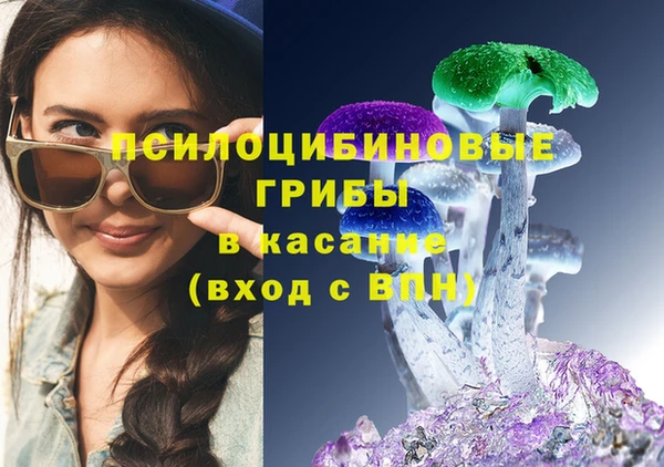 шишки Михайловка
